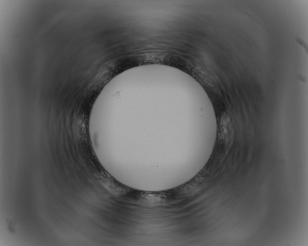 X0000091240522200709061542