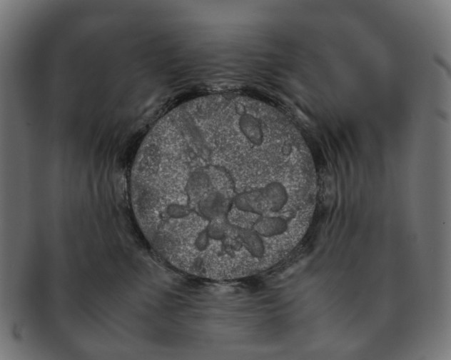 X0000091240523200709061542