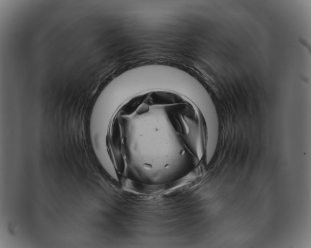 X0000091240524200709061542