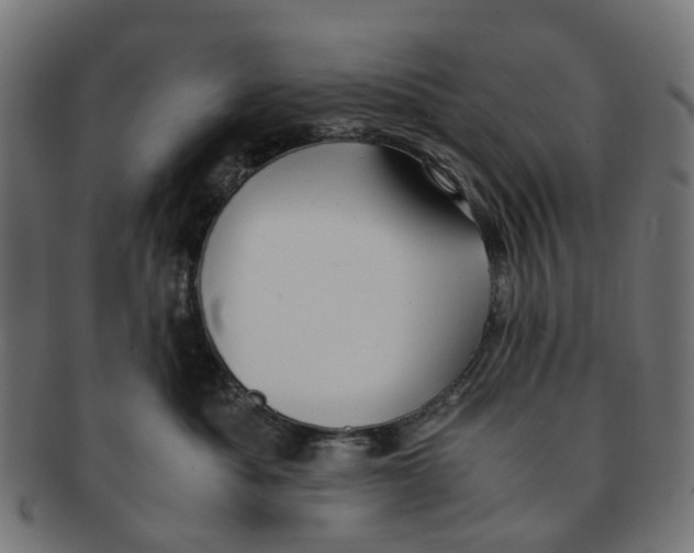 X0000091240525200709061542