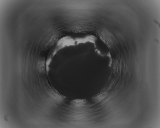 X0000091240526200709061542