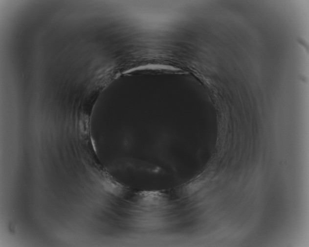 X0000091240528200709061542