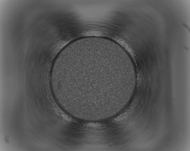 X0000091240529200709061542