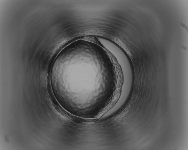 X0000091240530200709061542