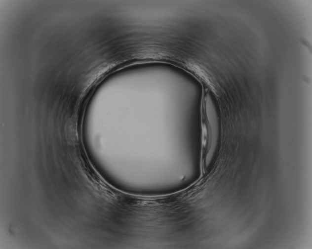 X0000091240531200709061542