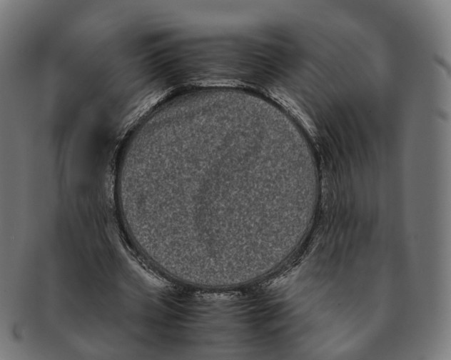 X0000091240533200709061542