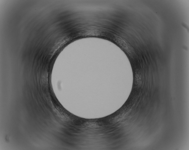 X0000091240534200709061542