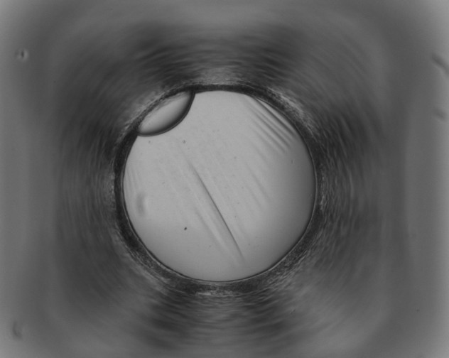 X0000091240535200709061542