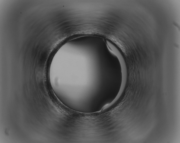 X0000091240536200709061542