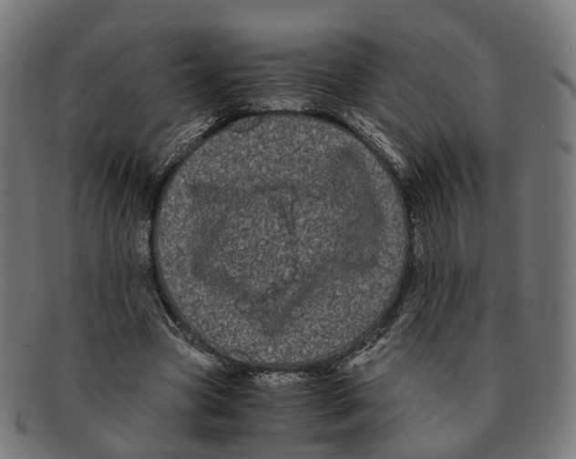 X0000091240537200709061542