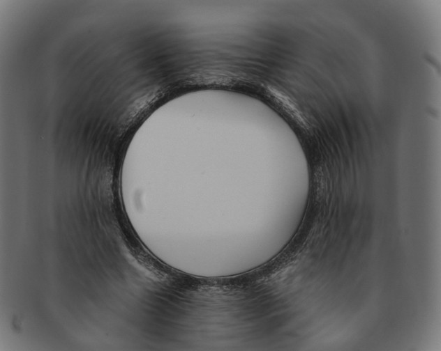 X0000091240538200709061542