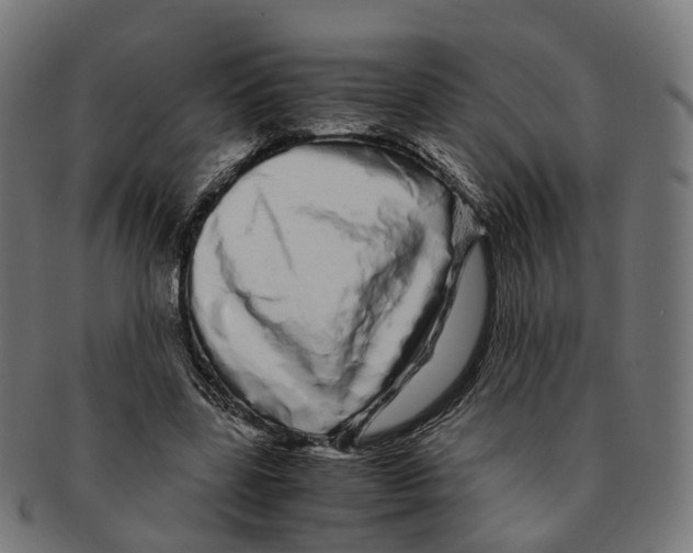X0000091240539200709061542
