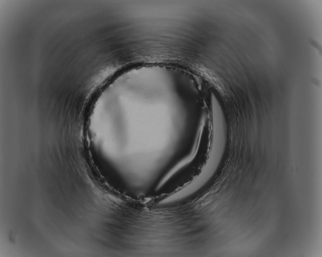 X0000091240540200709061542