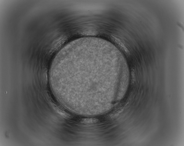 X0000091240541200709061542
