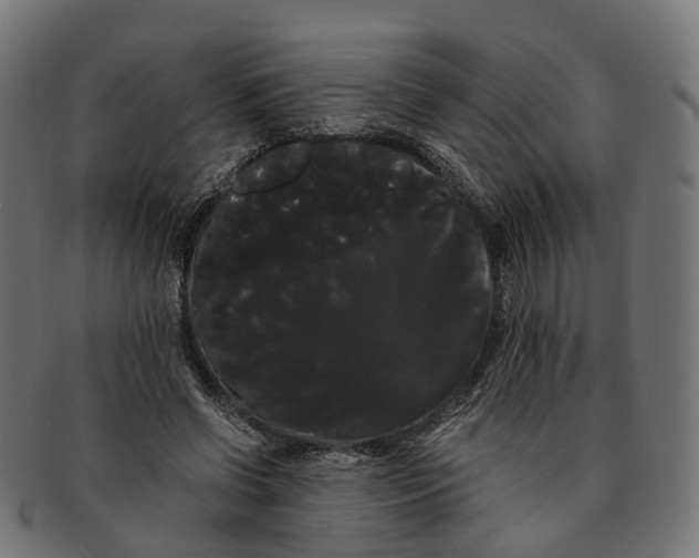 X0000091240542200709061542
