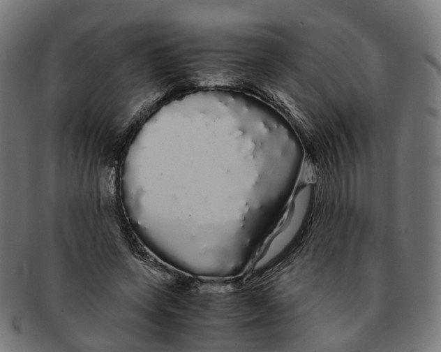 X0000091240543200709061542