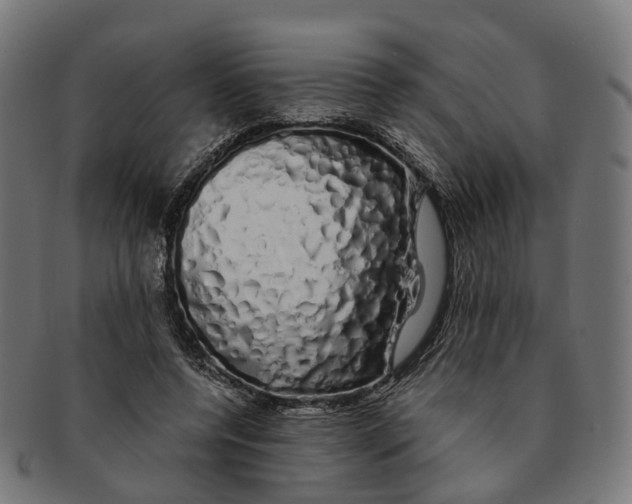 X0000091240544200709061542