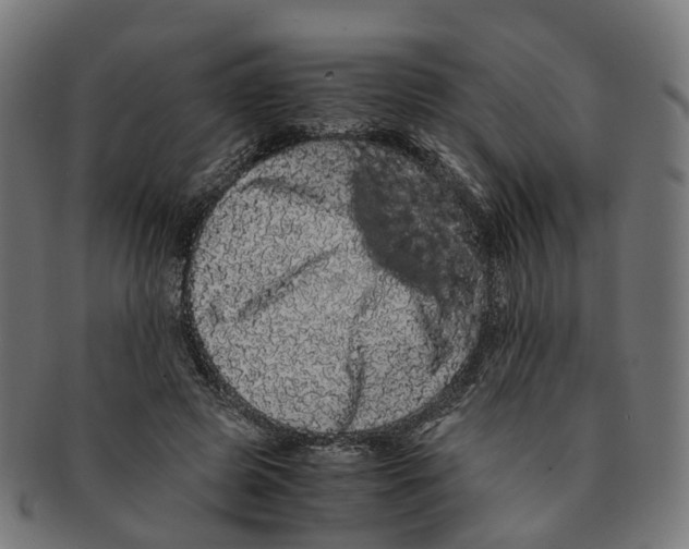 X0000091240545200709061542