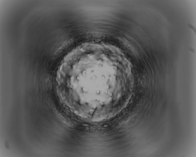 X0000091240546200709061542
