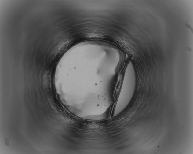 X0000091240547200709061542