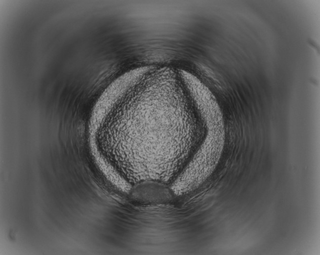 X0000091240550200709061542