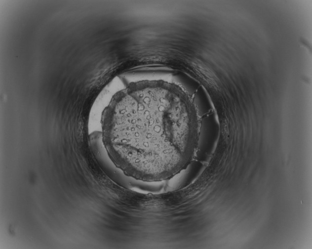 X0000091240551200709061542