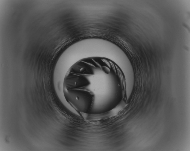 X0000091240552200709061542