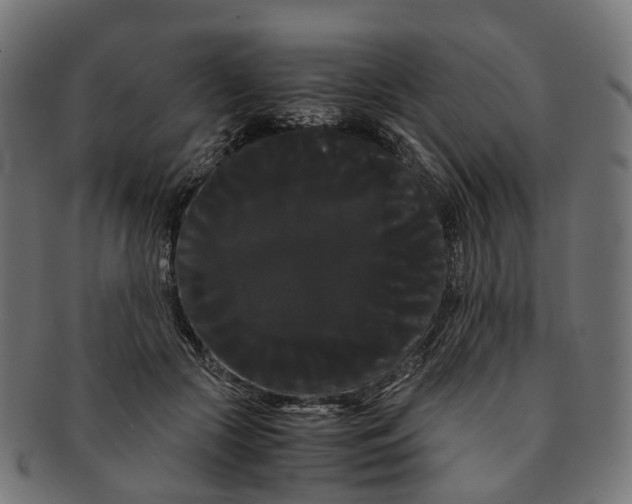 X0000091240553200709061542