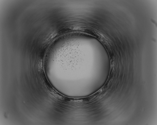 X0000091240554200709061542