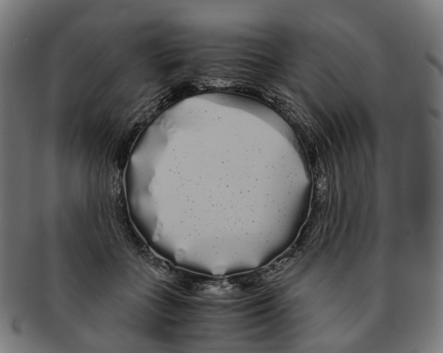 X0000091240555200709061542