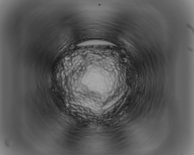 X0000091240556200709061542