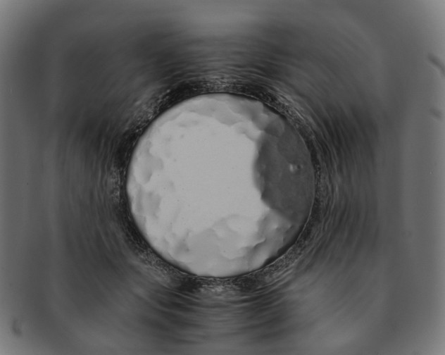 X0000091240557200709061542