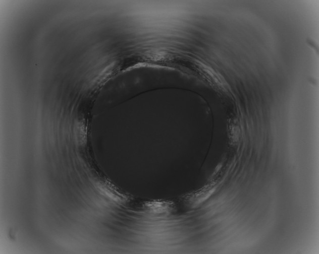 X0000091240558200709061542