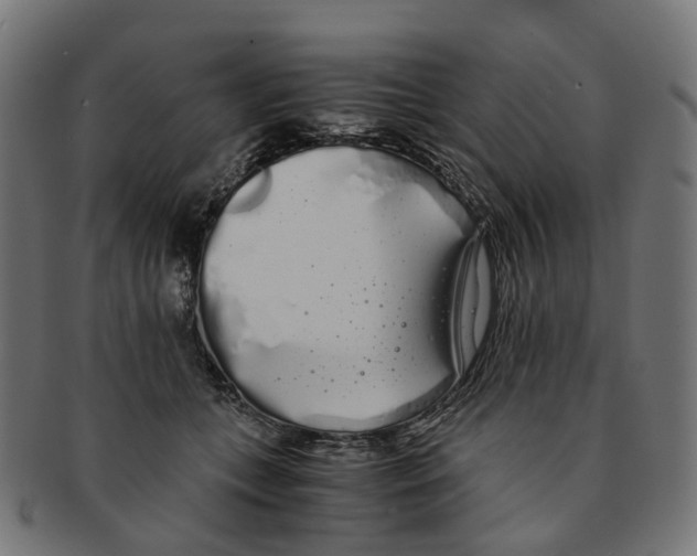 X0000091240559200709061542