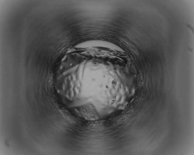 X0000091240560200709061542