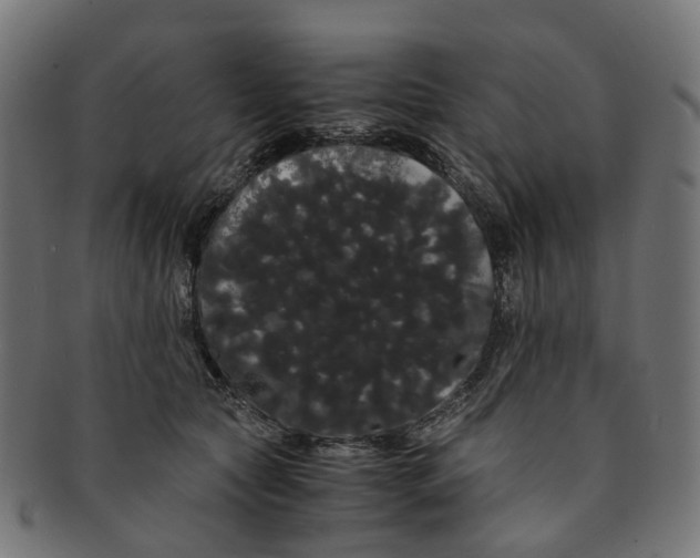 X0000091240561200709061542