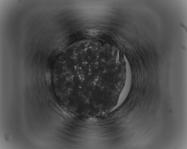X0000091240562200709061542