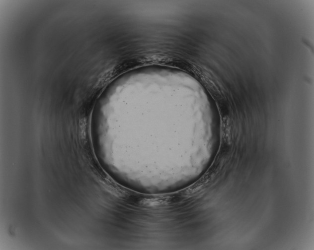X0000091240563200709061542