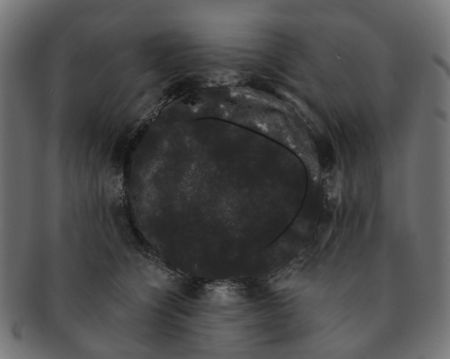 X0000091240564200709061542