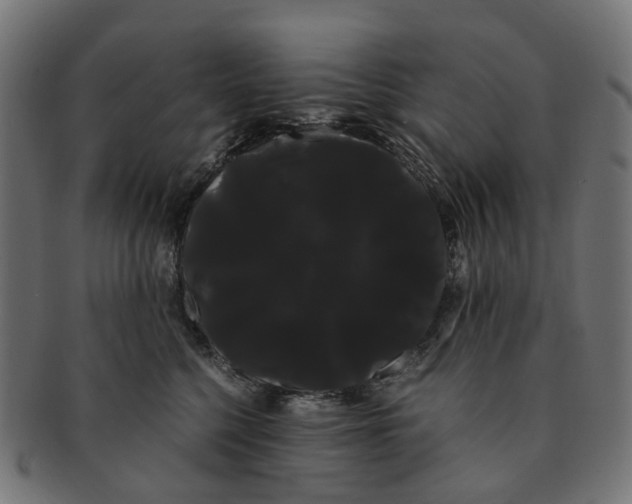 X0000091240568200709061542