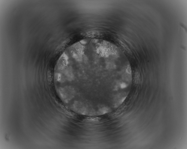X0000091240569200709061542