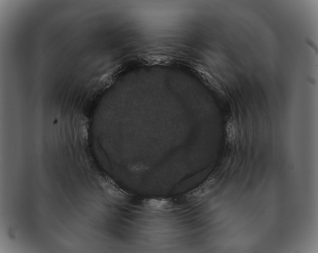 X0000091240570200709061542