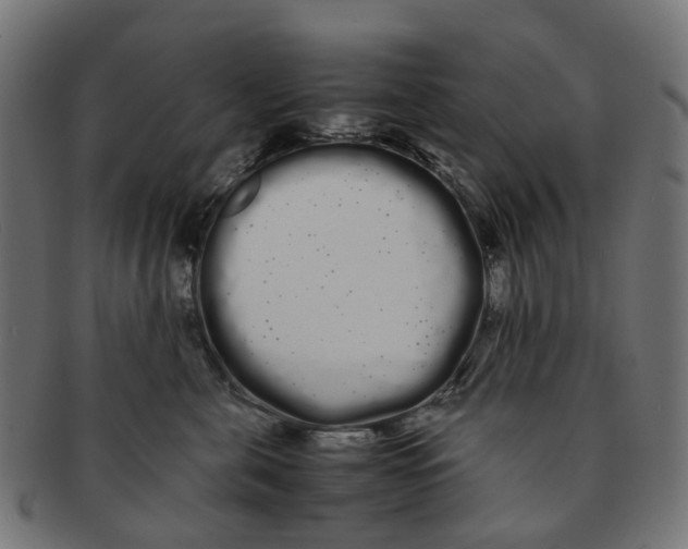 X0000091240571200709061542
