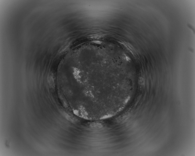 X0000091240572200709061542