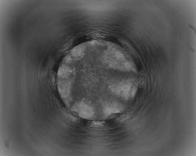 X0000091240573200709061542