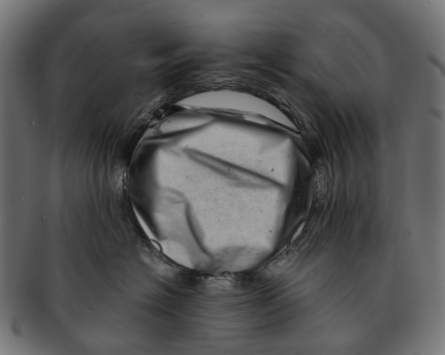 X0000091240574200709061542