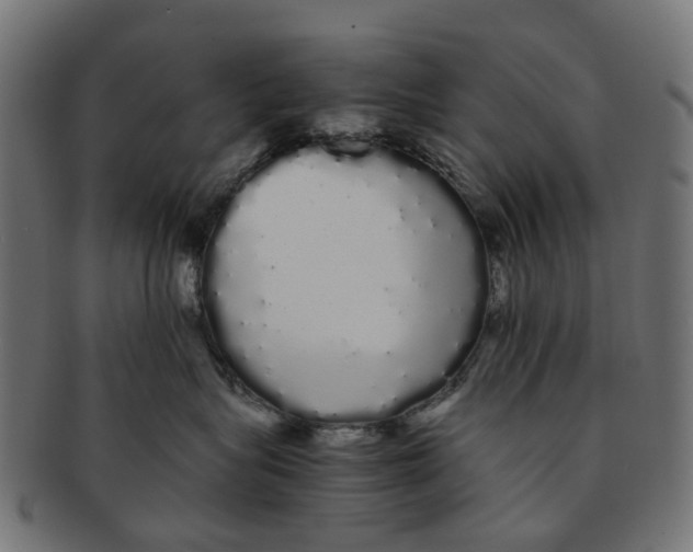 X0000091240575200709061542