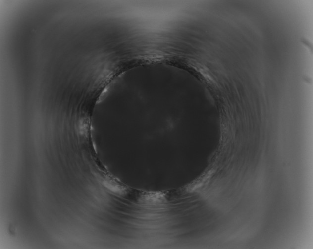 X0000091240576200709061542