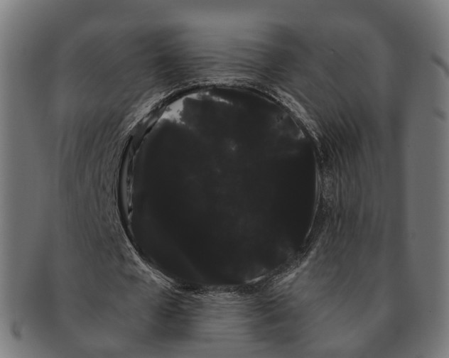 X0000091240577200709061542