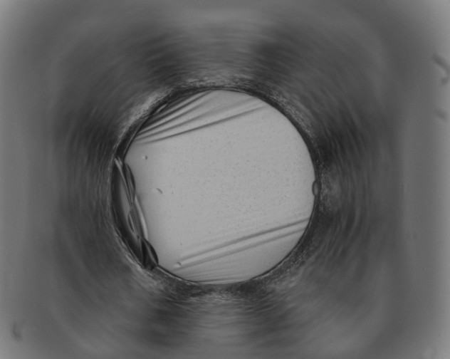 X0000091240578200709061542
